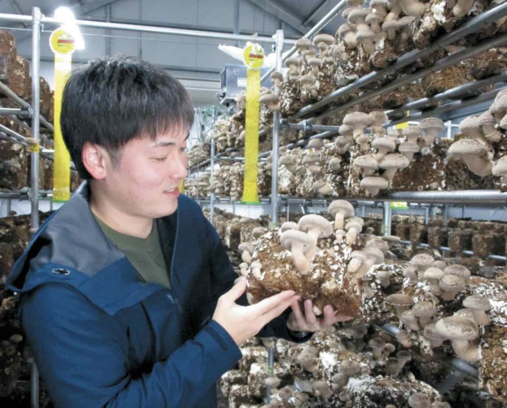 栄ガーデンが「広報よりい」に掲載