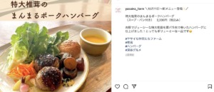 ヤサイな仲間たちファームのインスタグラム